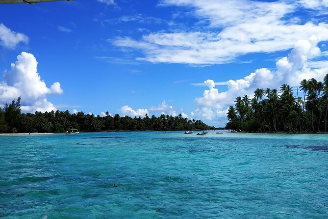 1/2 day Tahaa coral garden - departure Raiatea / ideal for cruise passengers - Raiatea to Tahaa: why this half-day fits cruise schedules
