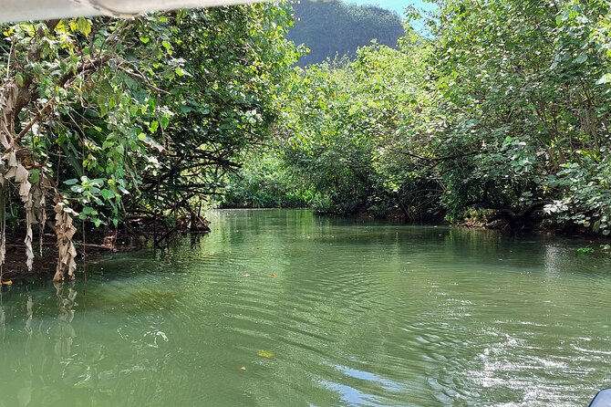 1/2 day "Treasures of Raiatea" by boat - ideal for cruise passengers - Key highlights to know before you go