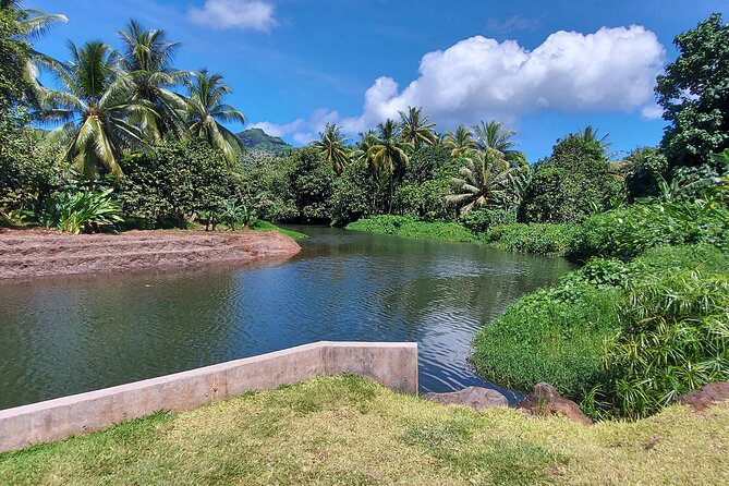 1/2 day "Treasures of Raiatea" by boat - ideal for cruise passengers - Why this Raiatea half-day feels like the right size