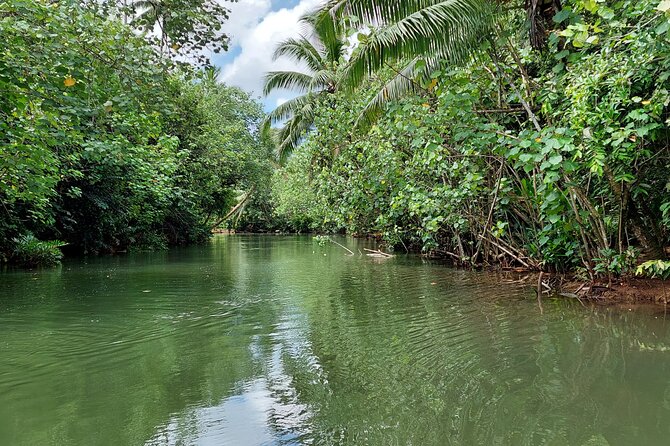 1/2 day "Treasures of Raiatea" by boat - ideal for cruise passengers - Opoa pearl farm: black pearls culture, not just a stop for photos