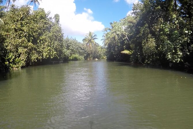 1/2 day "Treasures of Raiatea" by boat - ideal for cruise passengers - Guides make or break it: Julien and Teiki set the tone