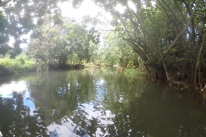 1/2 day "Treasures of Raiatea" by boat - ideal for cruise passengers - Practical tips: stay dry and comfortable in Raiatea weather