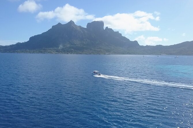 2 Dives in the morning for certified divers in Bora Bora - Before you enter the water: level checks and a real safety brief
