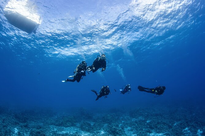 2 Dives in the morning for certified divers in Bora Bora - First underwater site, often the lagoon: warm, clear, and manta-friendly