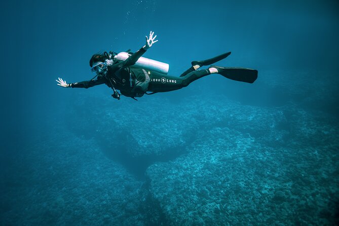 2 Dives in the morning for certified divers in Bora Bora - Second underwater site, often outer reef: sharks, coral, and possible current