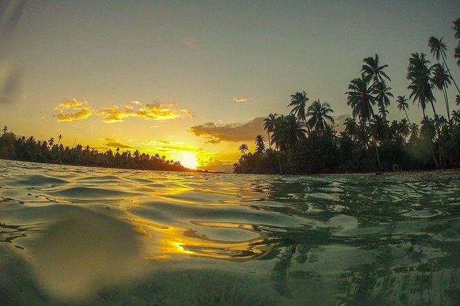 2-hour Private Sunset Cruise - What’s Included: Drinks, Snacks, and Local Rum Punch