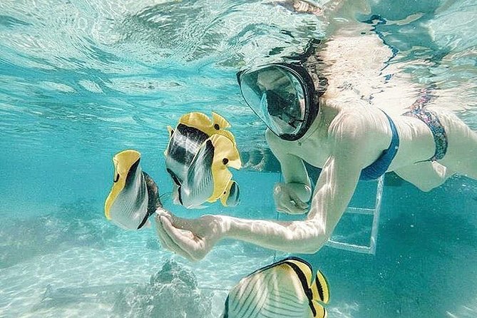 3-hour Lagoon Snorkeling Tour - Shared Tour - Key things that make this tour worth your time