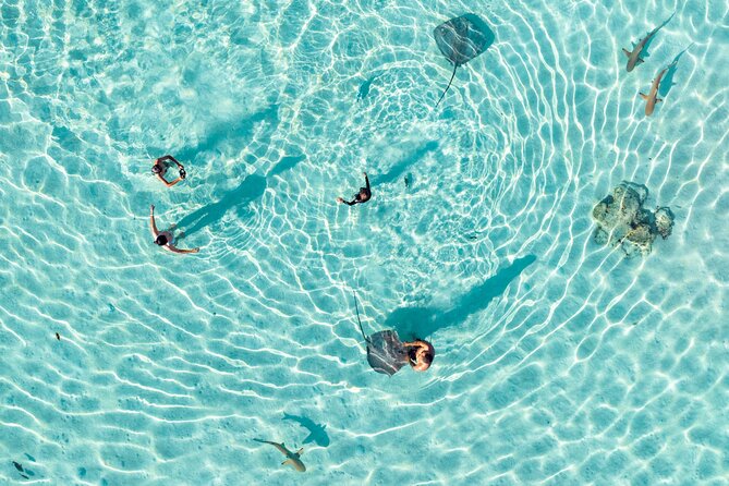 3-Hour Snorkeling Tour - Key things that make this tour worth your time