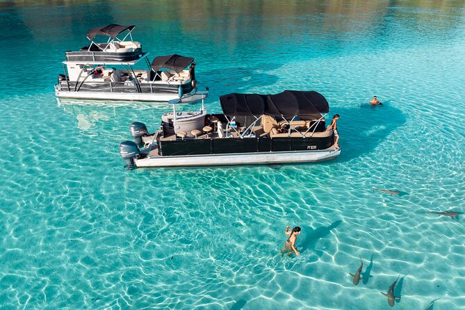 3-Hour Snorkeling Tour - Getting the Timing Right, Without Stress