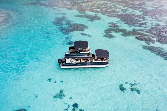 3-Hour Snorkeling Tour - Price and Value: Is $121.46 a Good Deal?
