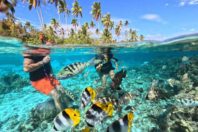 3H Adventure in JET SKI Snorkeling and Tahaa Lagoon - Quick, Specific Highlights