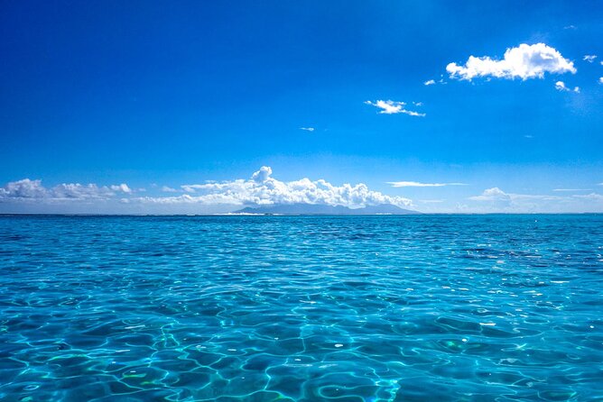 3h dolphin and snorkeling tour in a wild lagoon with Mobydick - The Lagoon Anchors: Snorkeling in Maraa Coral Pools