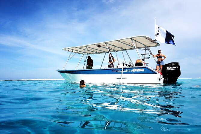 3h dolphin and snorkeling tour in a wild lagoon with Mobydick - Price and Value: Is $144.54 Worth It?