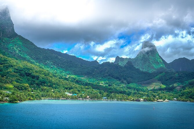 4 Hour Private Humpback Whales Encounter in Moorea - What You Might See: From Singing to Sleeping