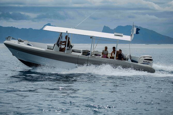 4 Hours of Humpback Whale Watching in Tahiti - Boat Comfort Matters When the Ocean Gets Choppy