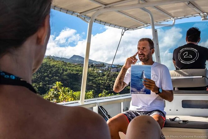 4 Hours of Humpback Whale Watching in Tahiti - Price and Value: What You’re Really Paying For