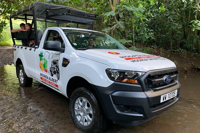 4x4 Moorea Safari Tours : Private tours - Pineapple plantation stop: a quick taste of Moorea flavor