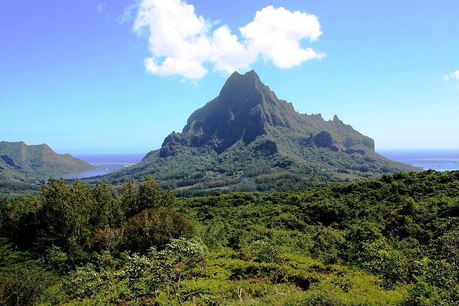 4x4 Moorea Safari Tours : With Hotel transfers - Magic Mountain Overlook: 360-Degree Photos Without the Long Hike