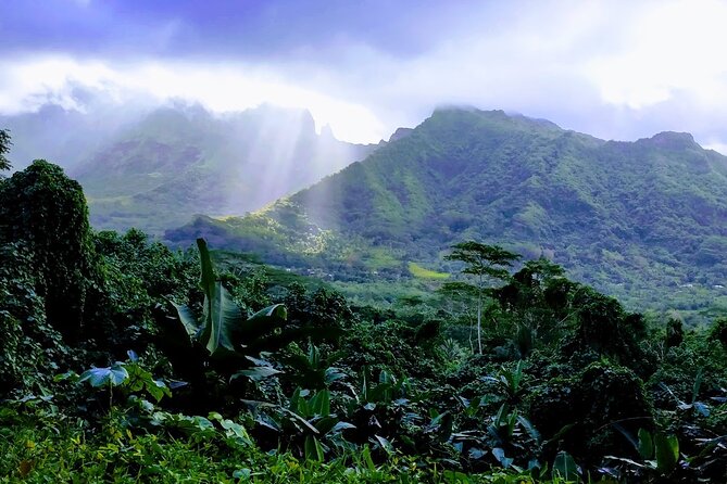 4x4 Tour – Culture, Crafts and Agritourism in Raiatea - The morning logistics, from Uturoa port to a tight 3h30 itinerary