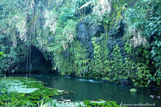 5 Hours Tahiti Island Tour - West and East Coast - Stop 5, Faarumai Waterfalls: quick valley power