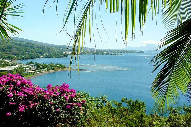 5 Hours Tahiti Island Tour - West and East Coast - Restrooms, snacks, and what no lunch stop really means