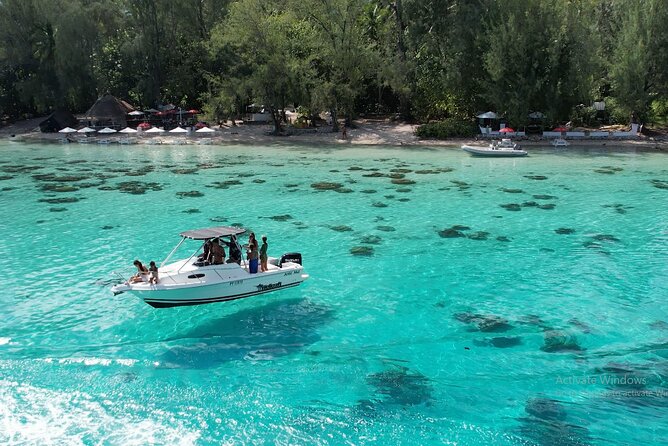 6 Hour Private Boat Activity with Snorkeling & Lunch - Who This Moorea Private Boat Trip Fits Best