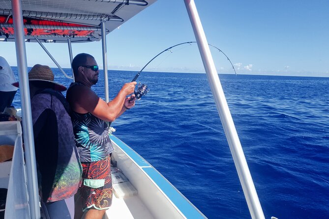 A Day of Big Game Fishing in a small group - Sightings beyond fish: whales, dolphins, sharks, and turtles