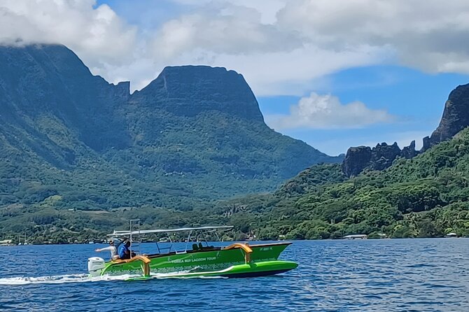 Activity/Excursion Lagoon Tour to Moorea by Canoe 6 hours - The Motu break: swim time, then coconut raw fish class