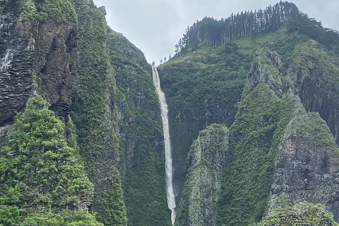 Adventurous Escape to Hakaui Valley - Key things that make this Hakaui day work