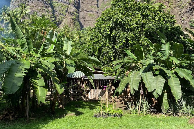 Adventurous Escape to Hakaui Valley - Homemade lunch at Hakaui, then a cultural reset