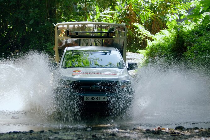 ALBERT TOURS: Excursion 4x4 safari with private SWING view point - Key Takeaways Before You Go