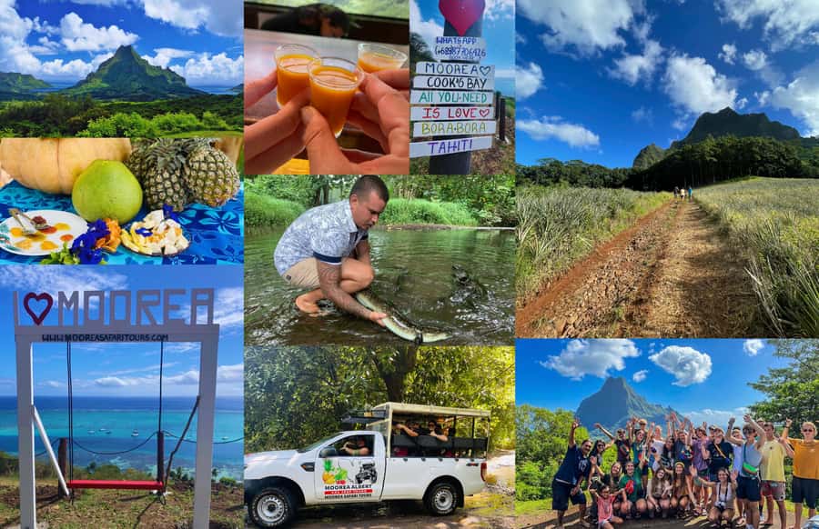 Albert Tours Excursion Safari - Moorea Safari tours&pick up - Pineapple Fields to Off-Road River Crossings