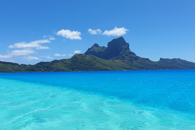 An Immersed Day in Bora Bora with O-sea - Coral garden and tropical fish viewing, done the right way