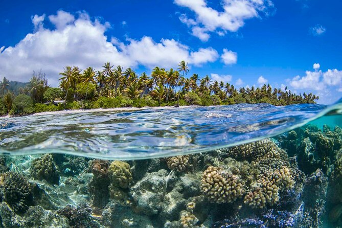 Apetahi day trip around Raiatea on a modern outrigger canoe - Key things to know before you go