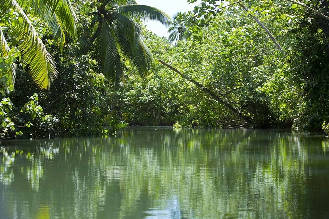 Apetahi day trip around Raiatea on a modern outrigger canoe - Who should book this Apetahi day trip