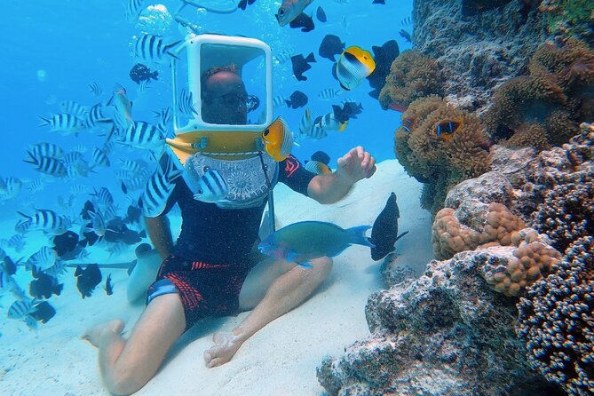 Aqua Safari Introductory Helmet Dive (Underwater Walk) - Key Highlights You Should Know Before You Book