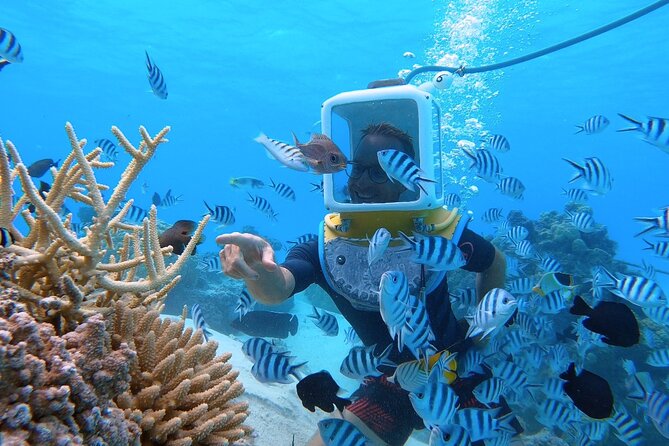 Aqua Safari Introductory Helmet Dive (Underwater Walk) - Why an Underwater Helmet Walk Works in Bora Bora