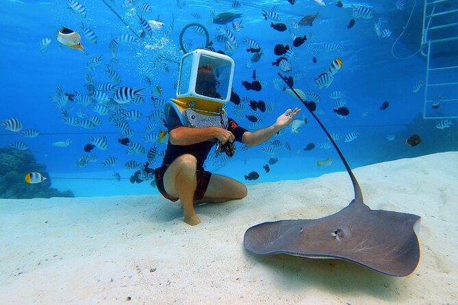 Aqua Safari Introductory Helmet Dive (Underwater Walk) - Price and Value: Is $158.76 a Good Deal Here?