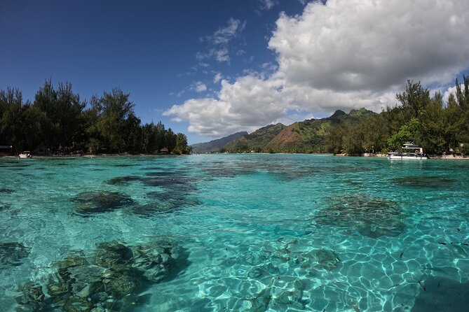 Aquablue Moorea - Rope, current, and comfort tips that keep the experience enjoyable
