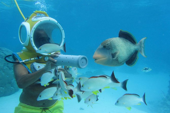 Aquablue Moorea - Price and value at $109.55 per person