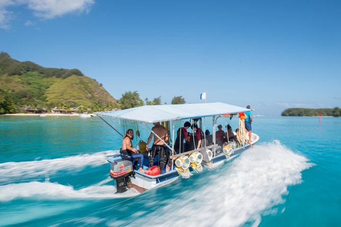 Aquablue Moorea - Who should book Aquablue Moorea, and who might want to choose another plan