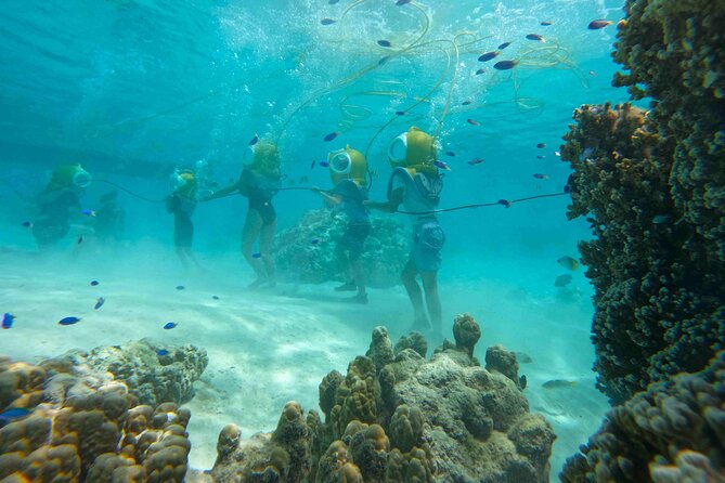 Aquablue Moorea - What you actually see: stingrays up close and fish that feel like neighbors