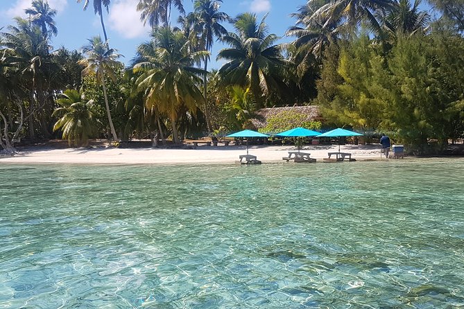 Authentic Polynesian Experience - Pearl farm time: seeing Tahaa craftsmanship up close