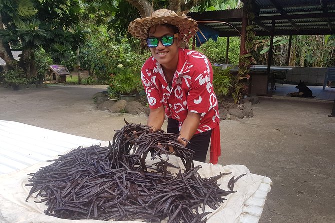 Authentic Polynesian Experience - Vanilla plantation: the hand-pollination story that makes the flavor make sense