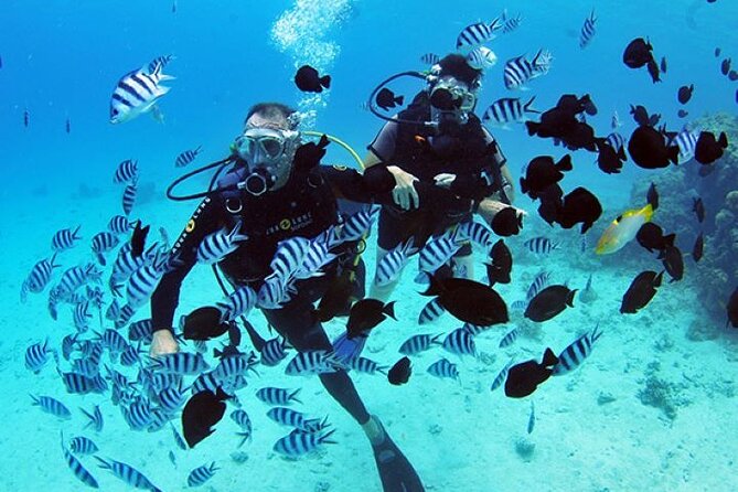Baptism diving in the turquoise waters of Tahiti - Key highlights worth knowing