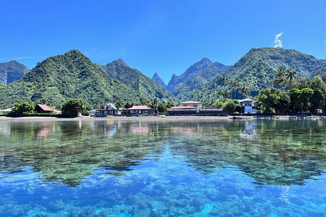 Baptism diving in the turquoise waters of Tahiti - The water here: turquoise views and fish you can enjoy slowly