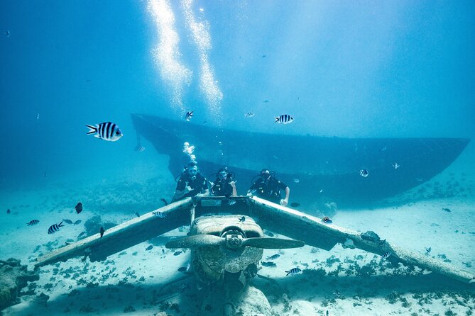 Baptism diving in the turquoise waters of Tahiti - Price and logistics: is $157.90 a fair deal