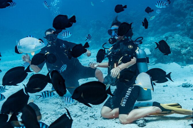 Baptism diving in the turquoise waters of Tahiti - Who should book this, and who should pause