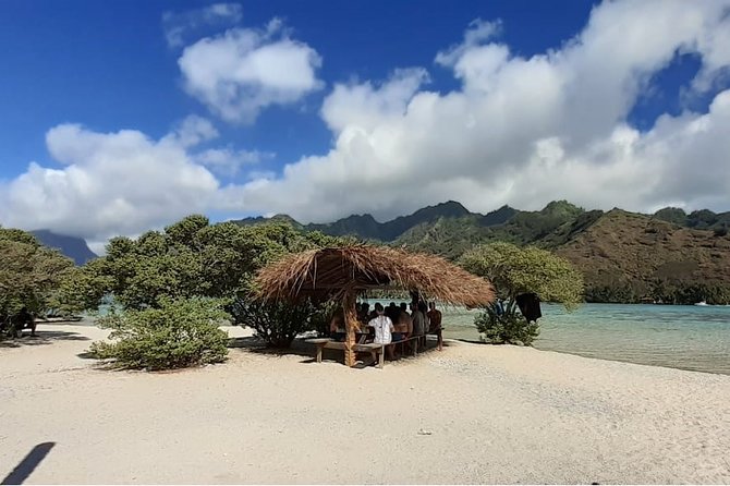 Best Way to Interact with Ocean Wildlife with Lunch. 6H - Why Moorea’s lagoon snorkeling feels different on this tour