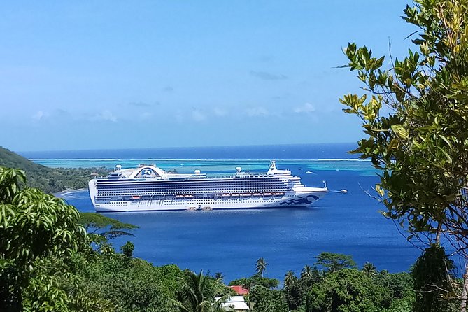Blue Pearl Private Tour - Belvedere Lookout: where the island clicks into place